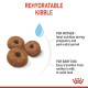 Royal Canin Giant Starter Mother & Babydog – Hrană Uscată pentru Cățele Gestante/în Lactație și Pui de Câine de Talie Gigantă – 15 kg